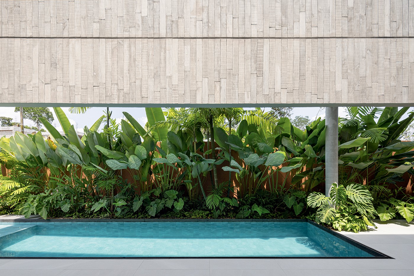 Plantas amazônicas trazem conforto térmico e sensorial a casa em Manaus