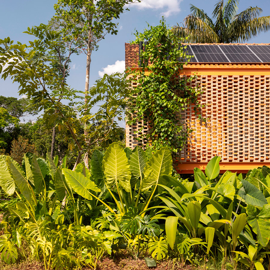 Hana Eto Gall: el diseño paisajístico en Manaus integra la vivienda y el bosque