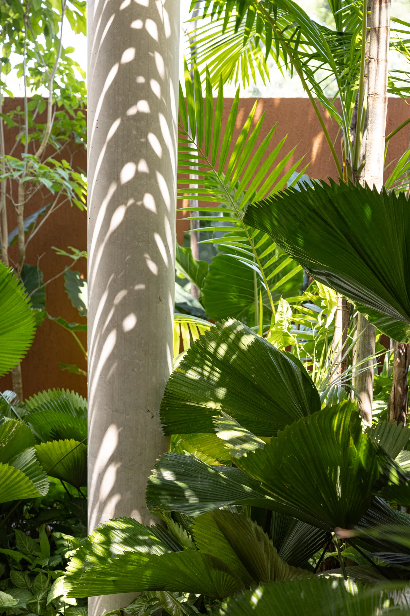 Casa das Sombras