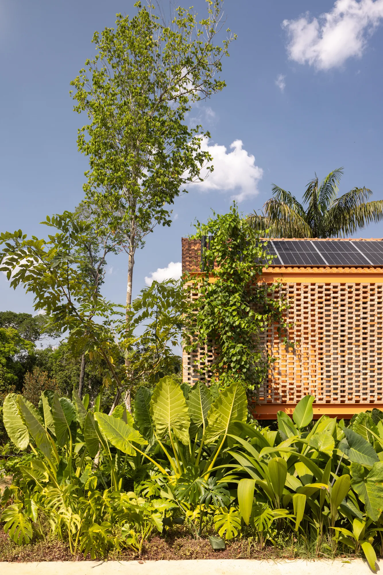 Casa Pupunha