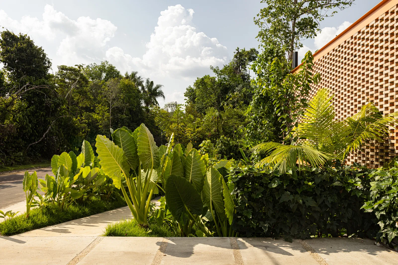 Casa Pupunha