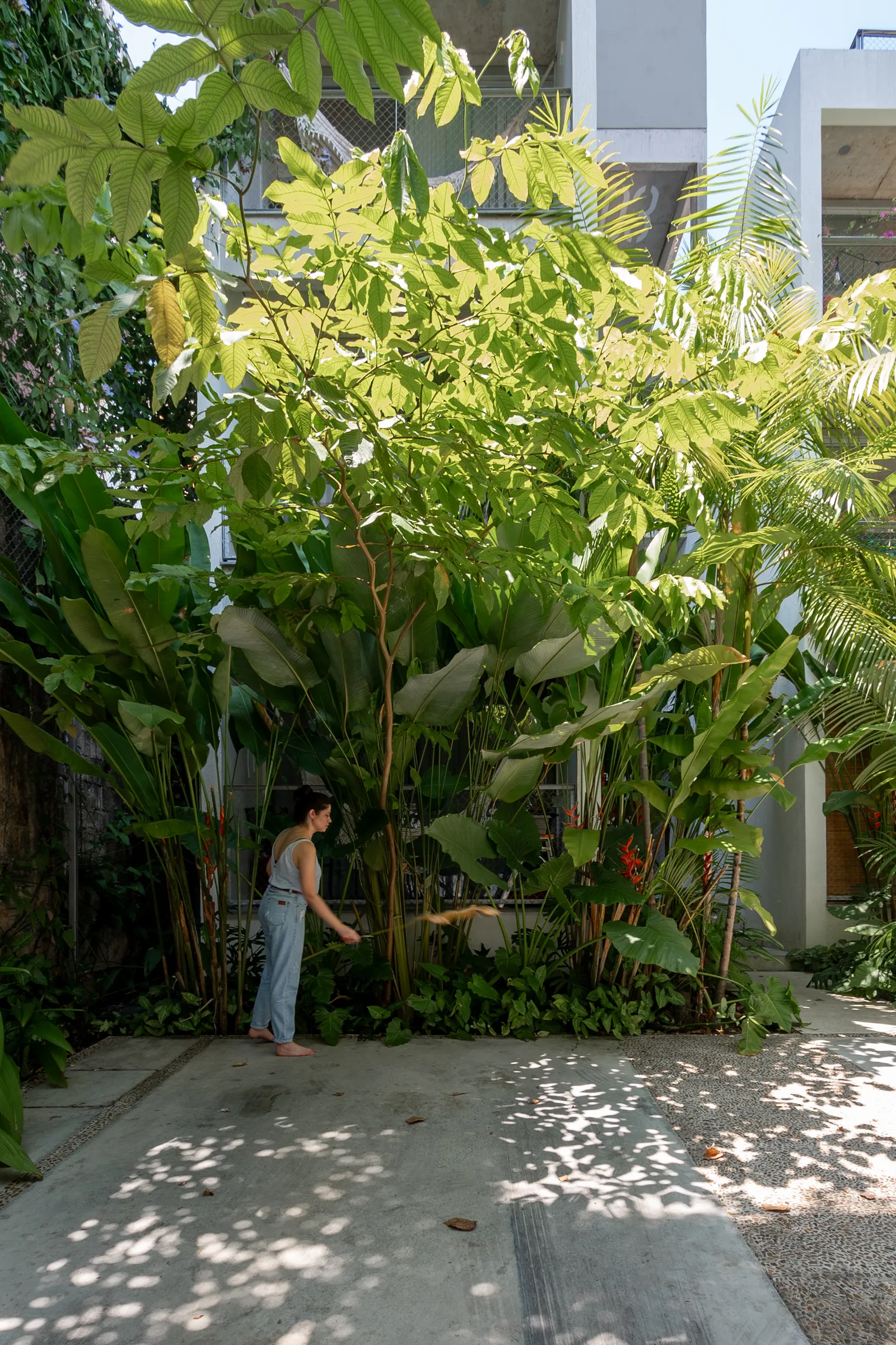 Ingá CoLiving