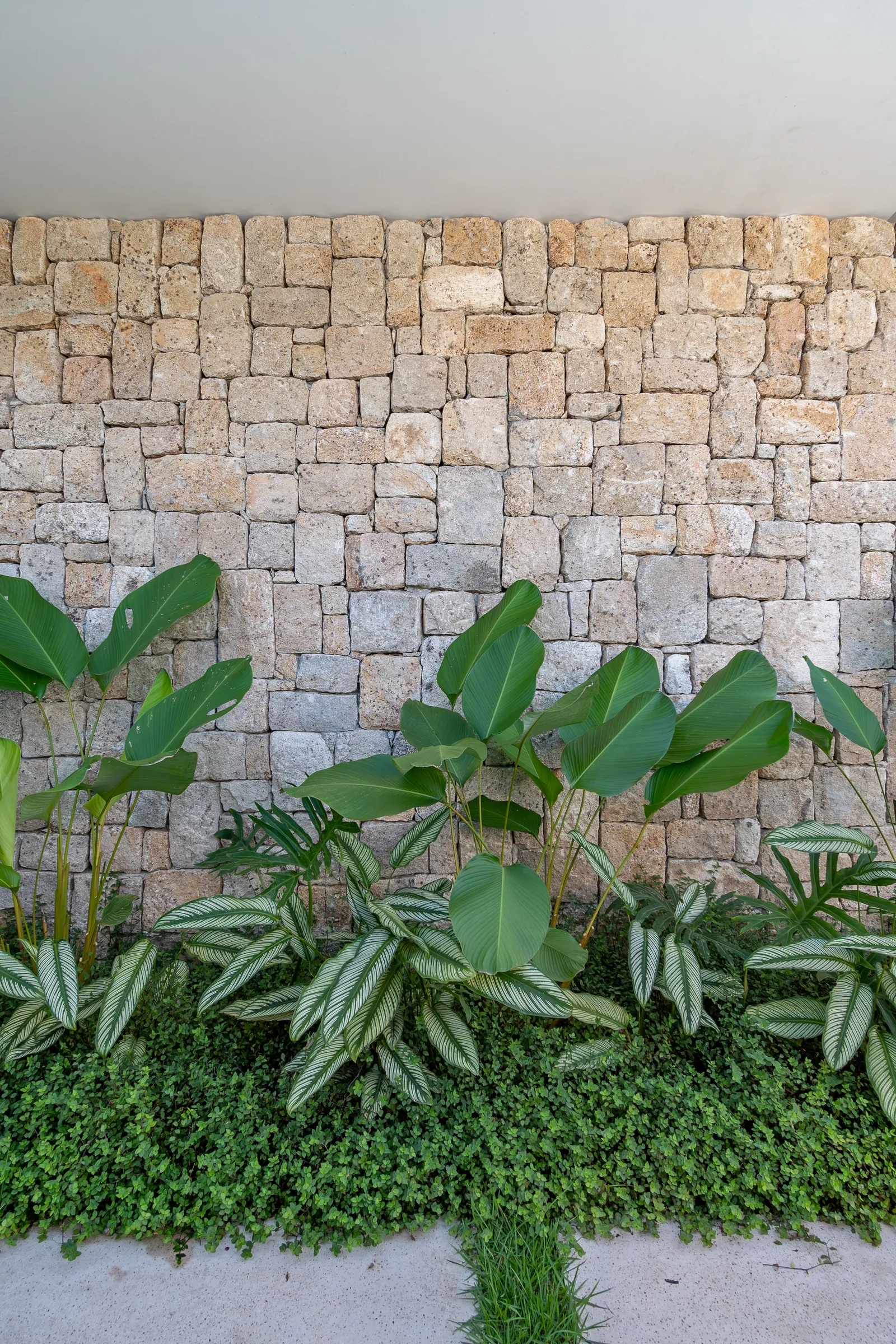 Miqueias